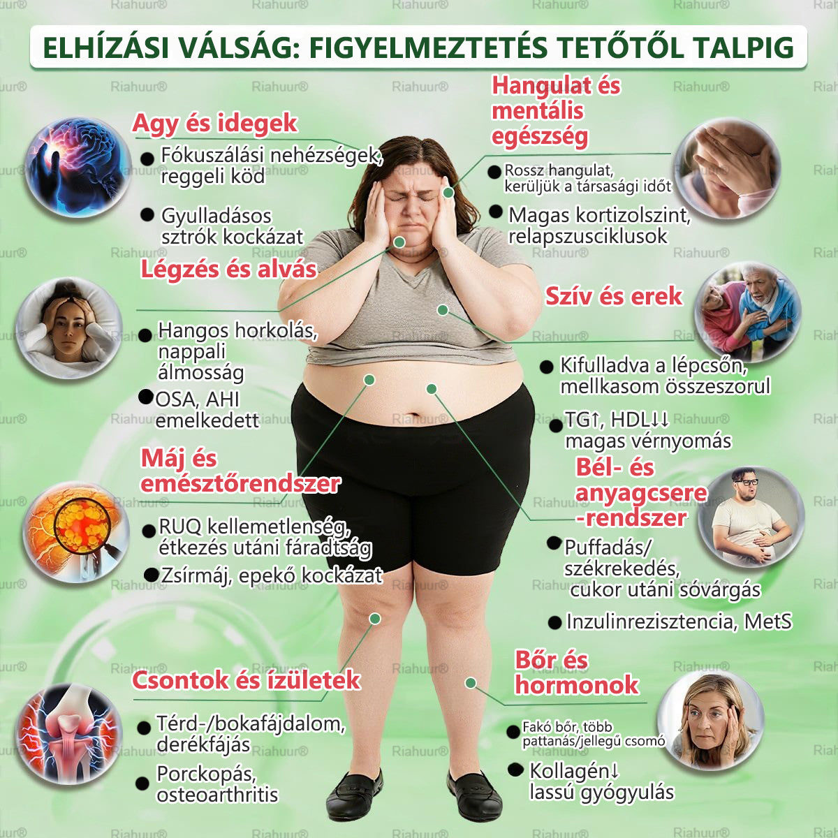 🔥 Exkluzív vásárlói ajánlat — egészítsd ki rendelésed még több GENAYU® termékkel most 50% KEDVEZMÉNNYEL! Már elkezdted a rutinodat — töltsd fel most a készleteidet ezen az egyszeri, kizárólag meglévő vásárlóknak szóló különleges áron.